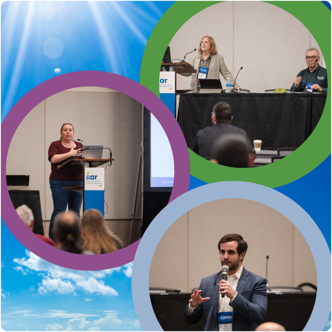 IIAR Conference Presentation 